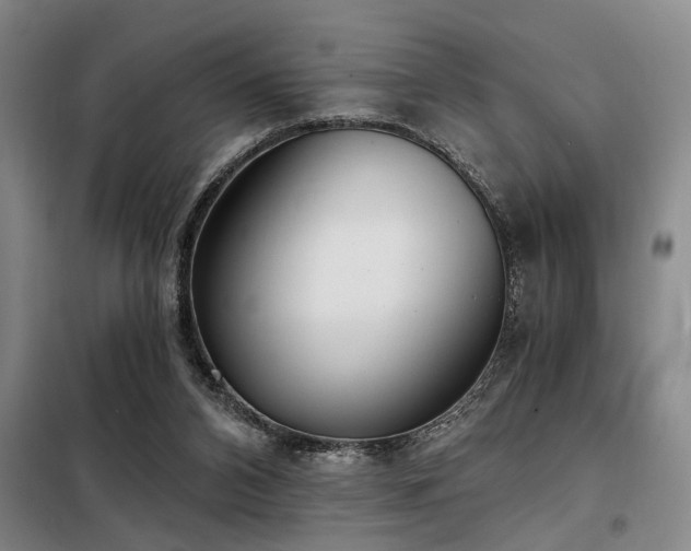 X0000098140112200804171557