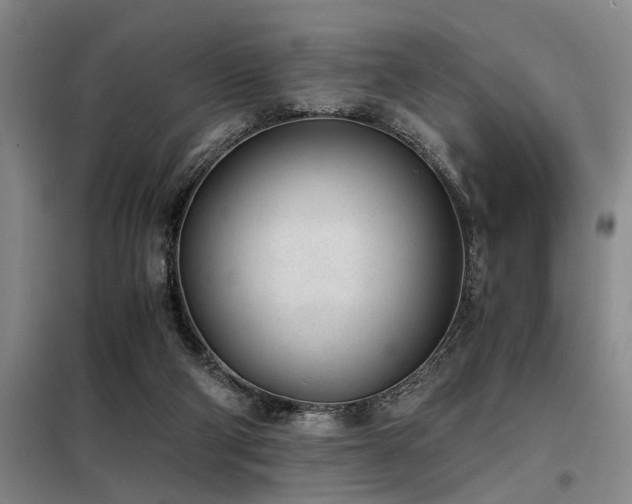 X0000098140114200804171557