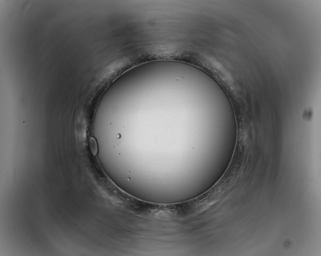 X0000098140115200804171557