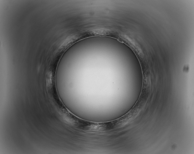 X0000098140117200804171557