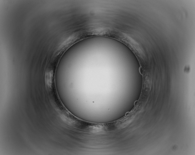 X0000098140118200804171557