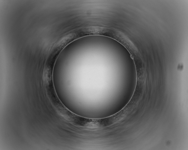 X0000098140119200804171557