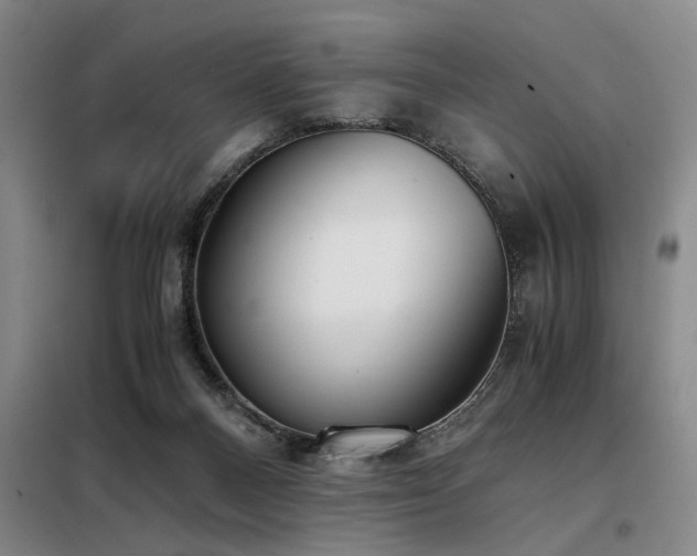 X0000098140120200804171557