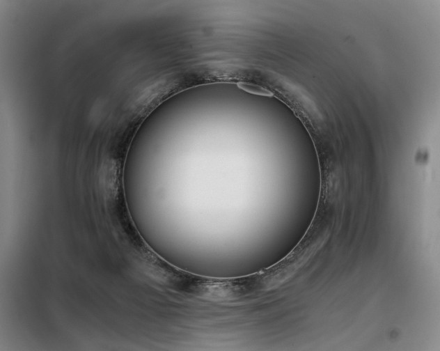 X0000098140121200804171557