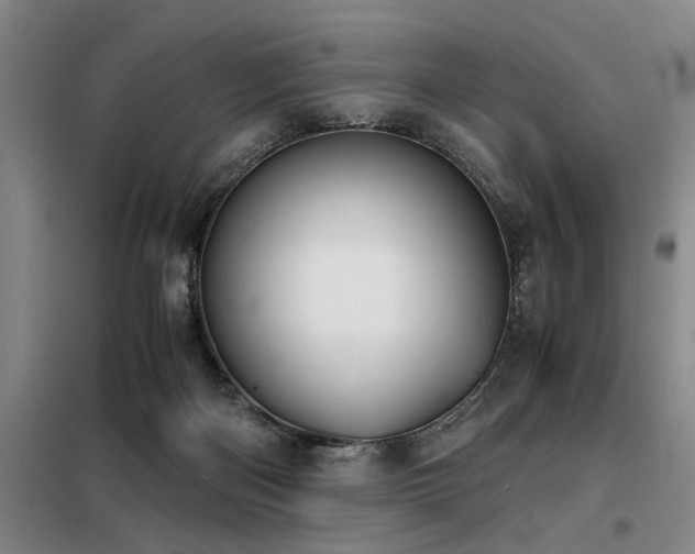 X0000098140122200804171557