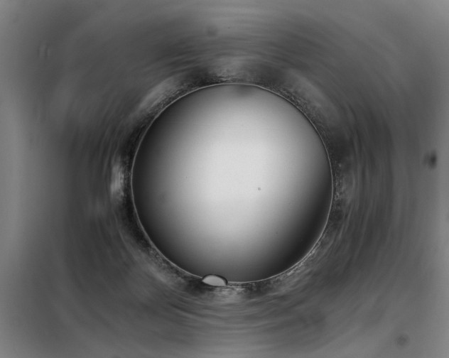 X0000098140124200804171557