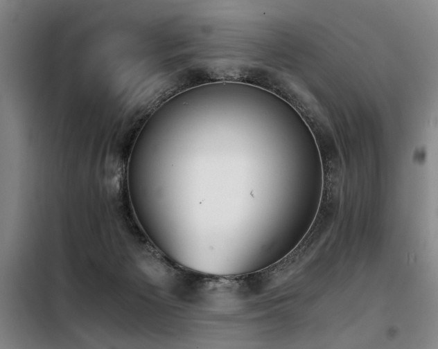 X0000098140125200804171557