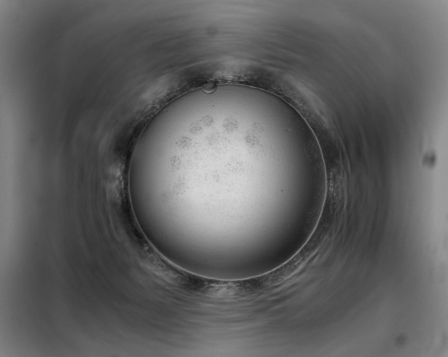 X0000098140127200804171557