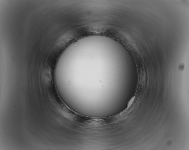 X0000098140128200804171557