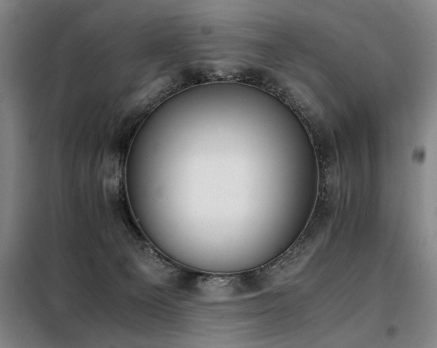 X0000098140129200804171557
