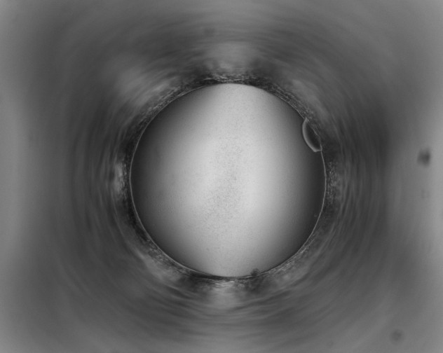 X0000098140130200804171557