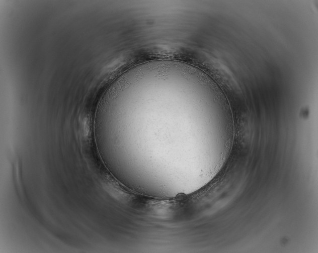 X0000098140131200804171557