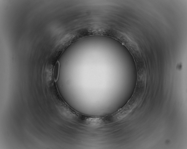 X0000098140133200804171557