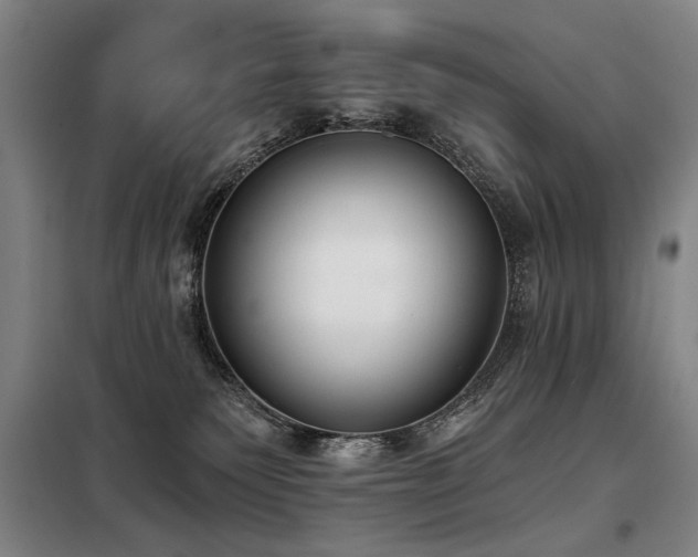 X0000098140135200804171557