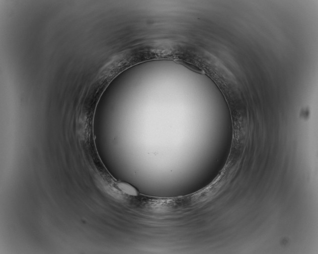 X0000098140136200804171557