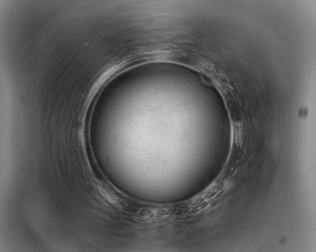 X0000098140147200804171556