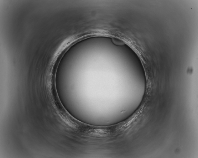 X0000098140151200804171556