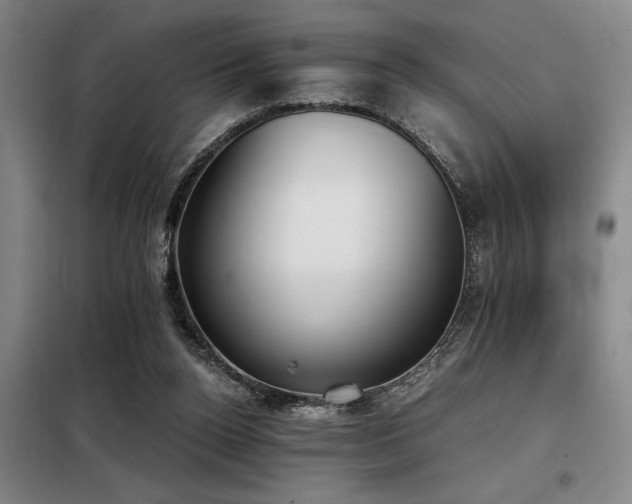 X0000098140160200804171556