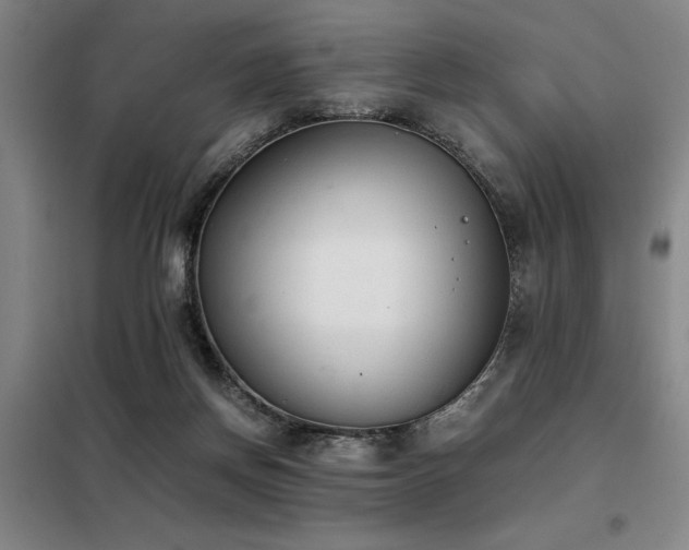 X0000098140166200804171556