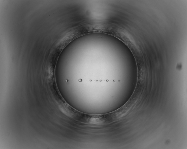 X0000098140173200804171556