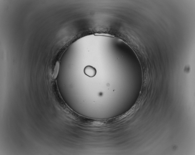 X0000098140176200804171556