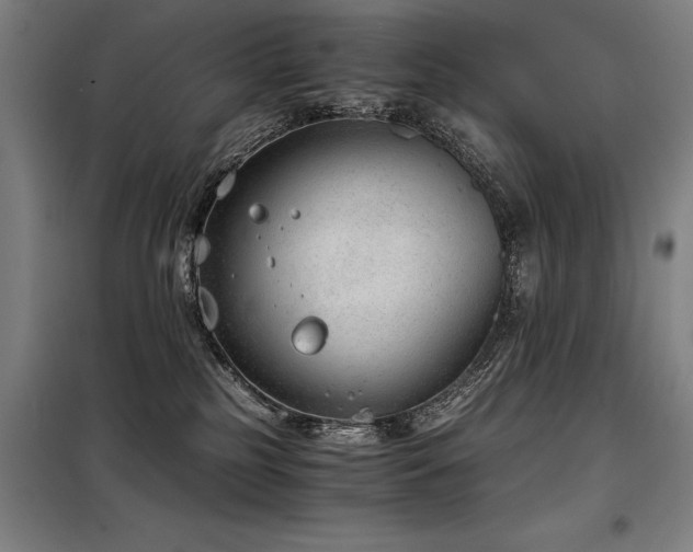 X0000098140185200804171556