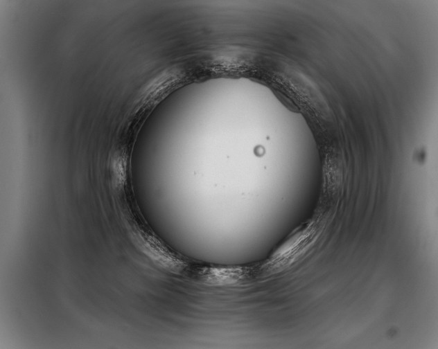 X0000098140188200804171556