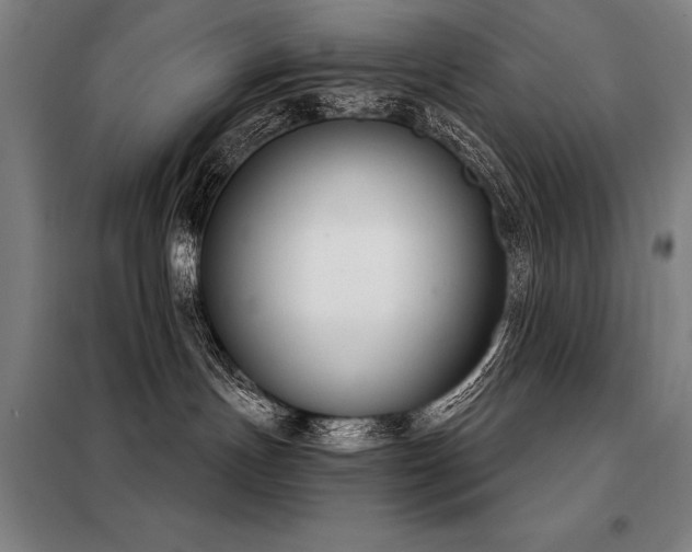 X0000098140191200804171556