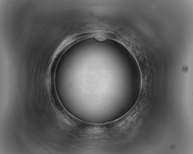 X0000098140198200804171555