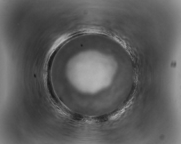 X0000098140199200804171555