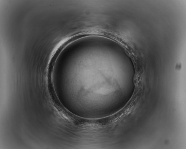 X0000098140200200804171555