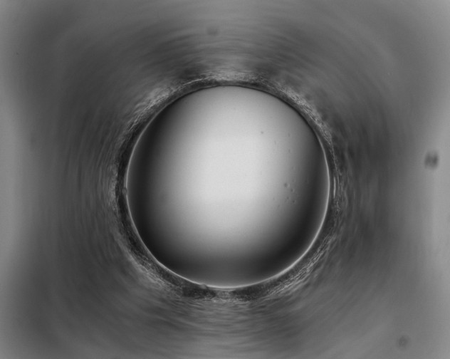 X0000098140201200804171555