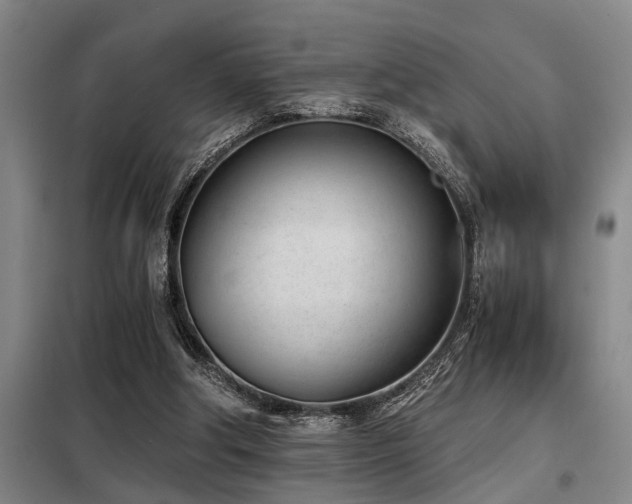 X0000098140202200804171555