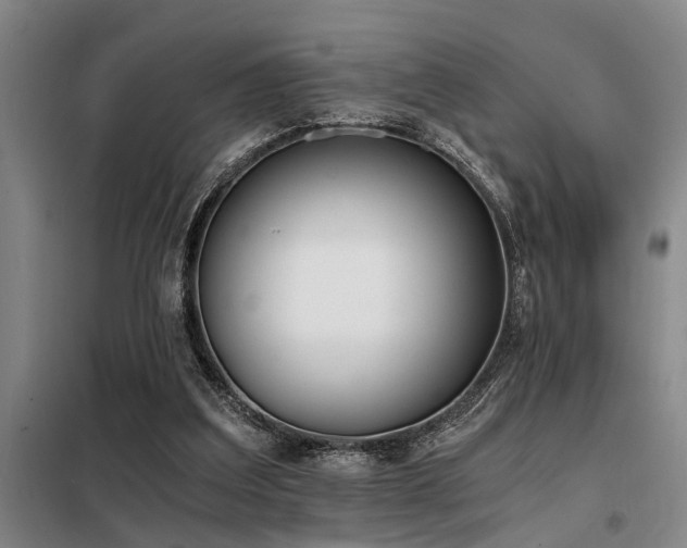 X0000098140203200804171555