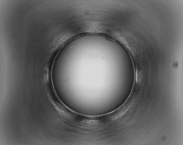 X0000098140205200804171555