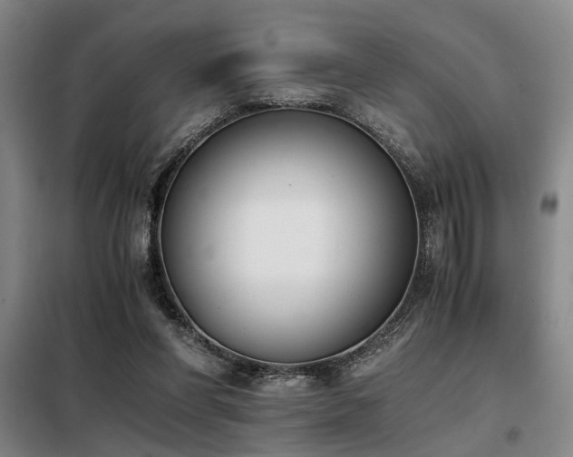 X0000098140206200804171555