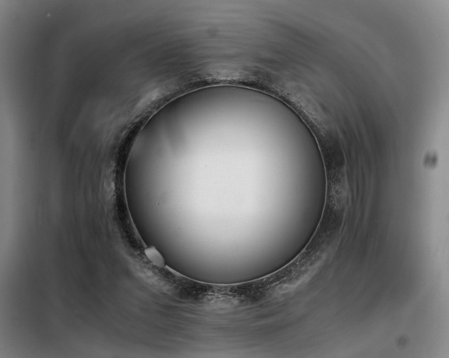 X0000098140207200804171555