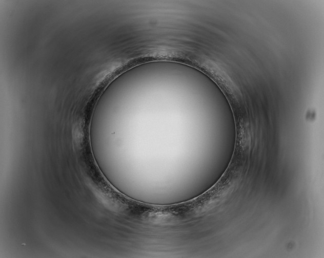 X0000098140208200804171555