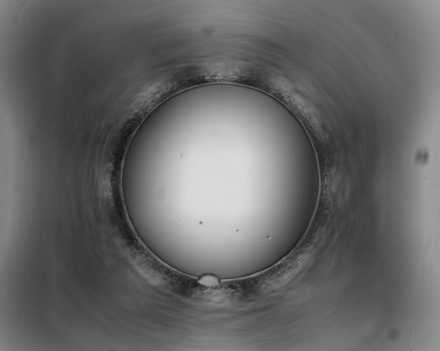 X0000098140209200804171555