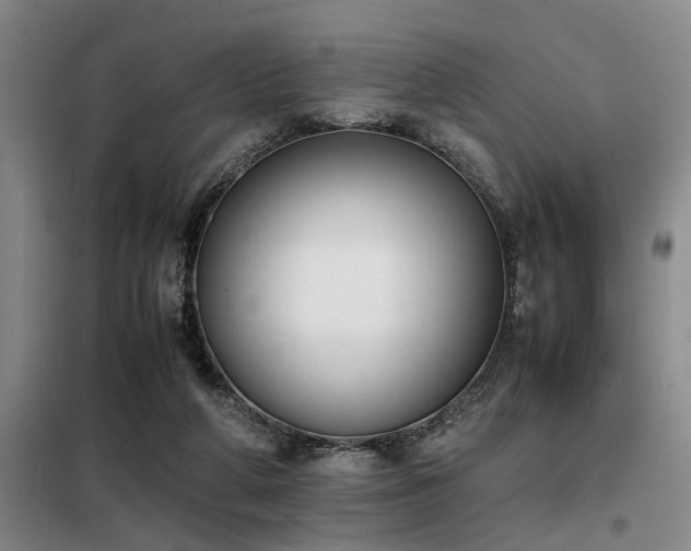 X0000098140210200804171555