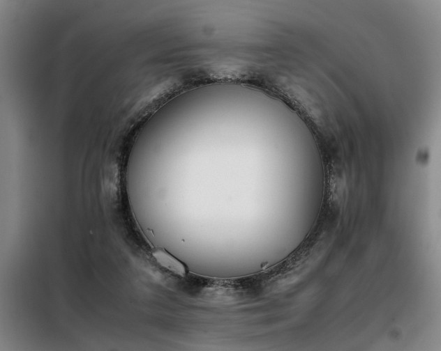 X0000098140211200804171555