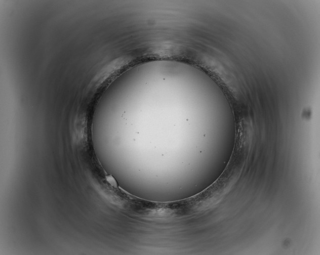 X0000098140212200804171555