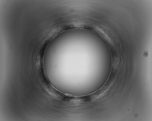 X0000098140213200804171555