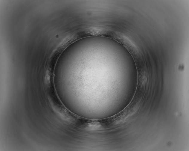 X0000098140214200804171555