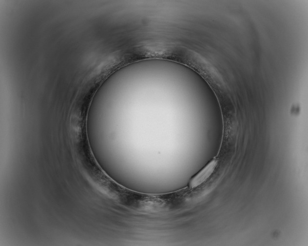 X0000098140215200804171555