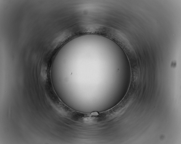X0000098140216200804171555