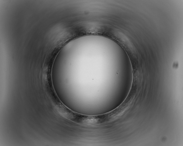 X0000098140217200804171555