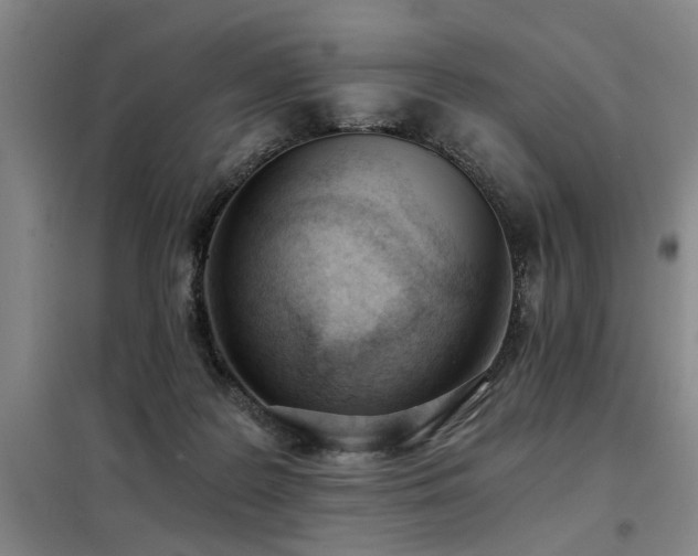 X0000098140219200804171555