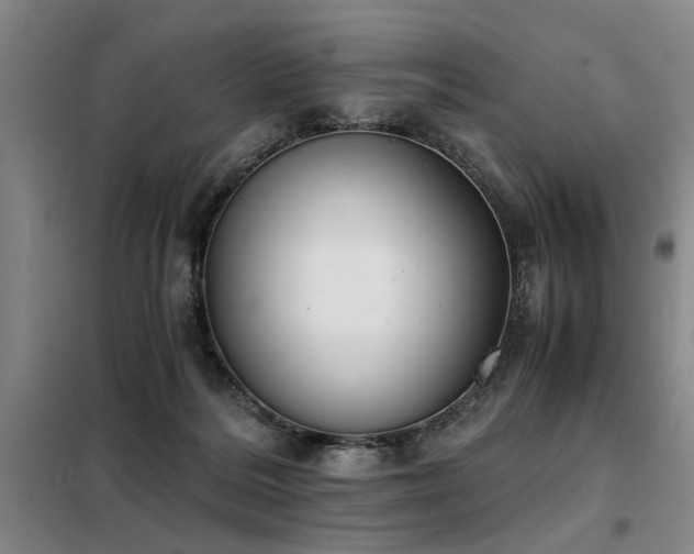 X0000098140220200804171555
