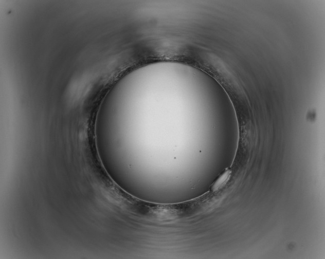 X0000098140221200804171555